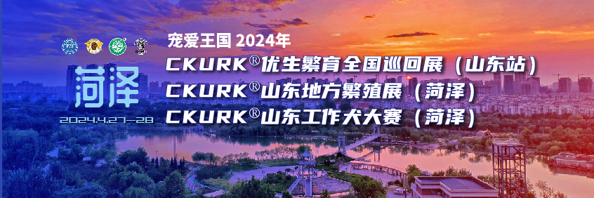 宠爱王國(guó)2024年CKURK®优生繁育全國(guó)巡回展（山(shān)东站）、山(shān)东地方繁殖展（菏泽）、山(shān)东工作犬大赛（菏泽）