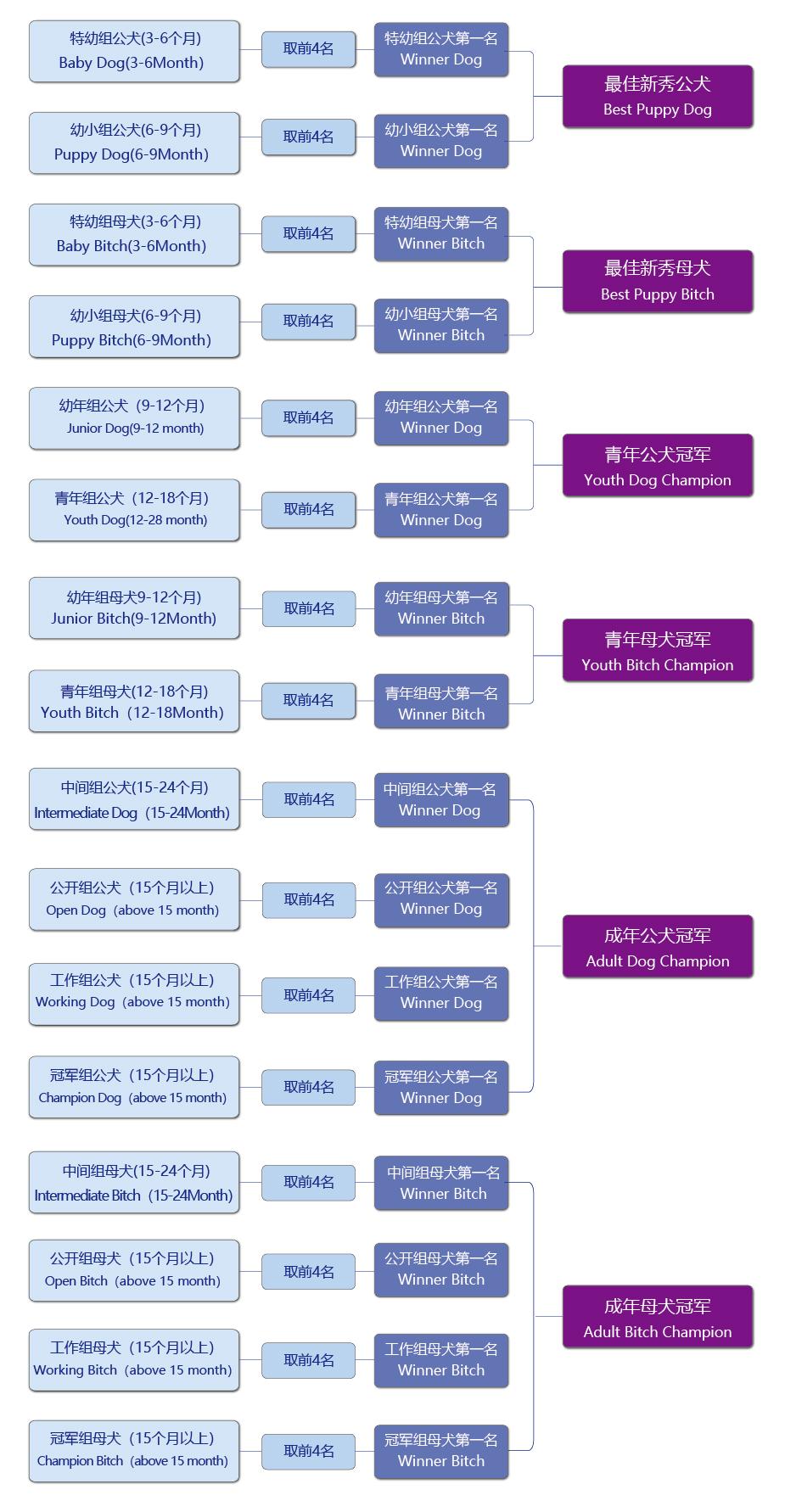 流程图2023-02.jpg