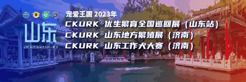 宠爱王國(guó)2023年CKURK®优生繁育全國(guó)巡回展（山(shān)东站）、山(shān)东地方繁殖展（济南）、工作犬大赛