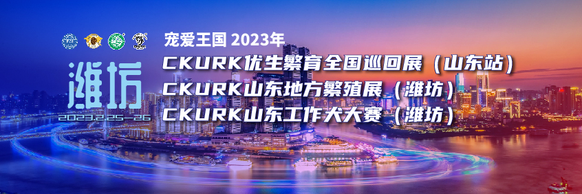 宠爱王國(guó)2023年CKURK优生繁育全國(guó)巡回展（山(shān)东站）、山(shān)东地方繁殖展（潍坊）、山(shān)东工作大赛