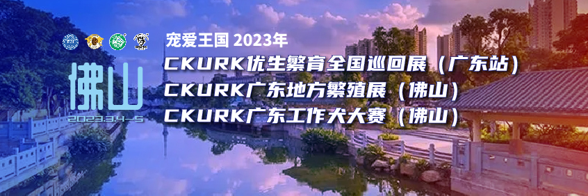 宠爱王國(guó)2023年CKURK优生繁育全國(guó)巡回展（广东站）、广东地方繁殖展（佛山(shān)）、广东工作大赛