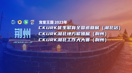 宠爱王國(guó)2023年CKURK优生繁育全國(guó)巡回展（湖(hú)北站）、湖(hú)北地方繁殖展（荆州）、湖(hú)北工作大赛