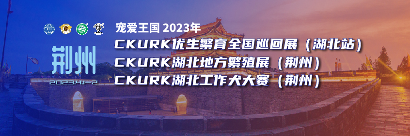 宠爱王國(guó)2023年CKURK优生繁育全國(guó)巡回展（湖(hú)北站）、湖(hú)北地方繁殖展（荆州）、湖(hú)北工作大赛