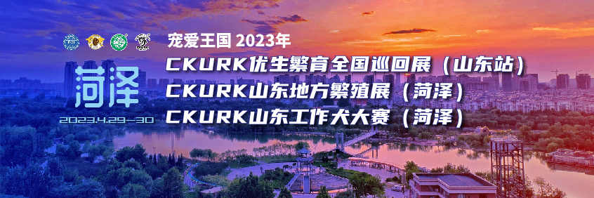 宠爱王國(guó)2023年CKURK优生繁育全國(guó)巡回展（山(shān)东站）、山(shān)东地方繁殖展（菏泽）、山(shān)东工作大赛