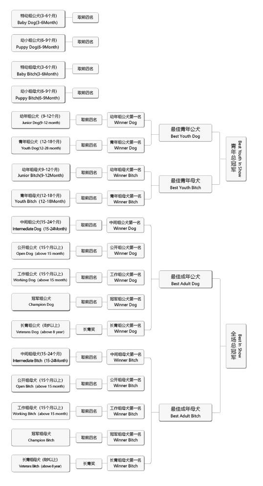 19本部展流程图-01.jpg