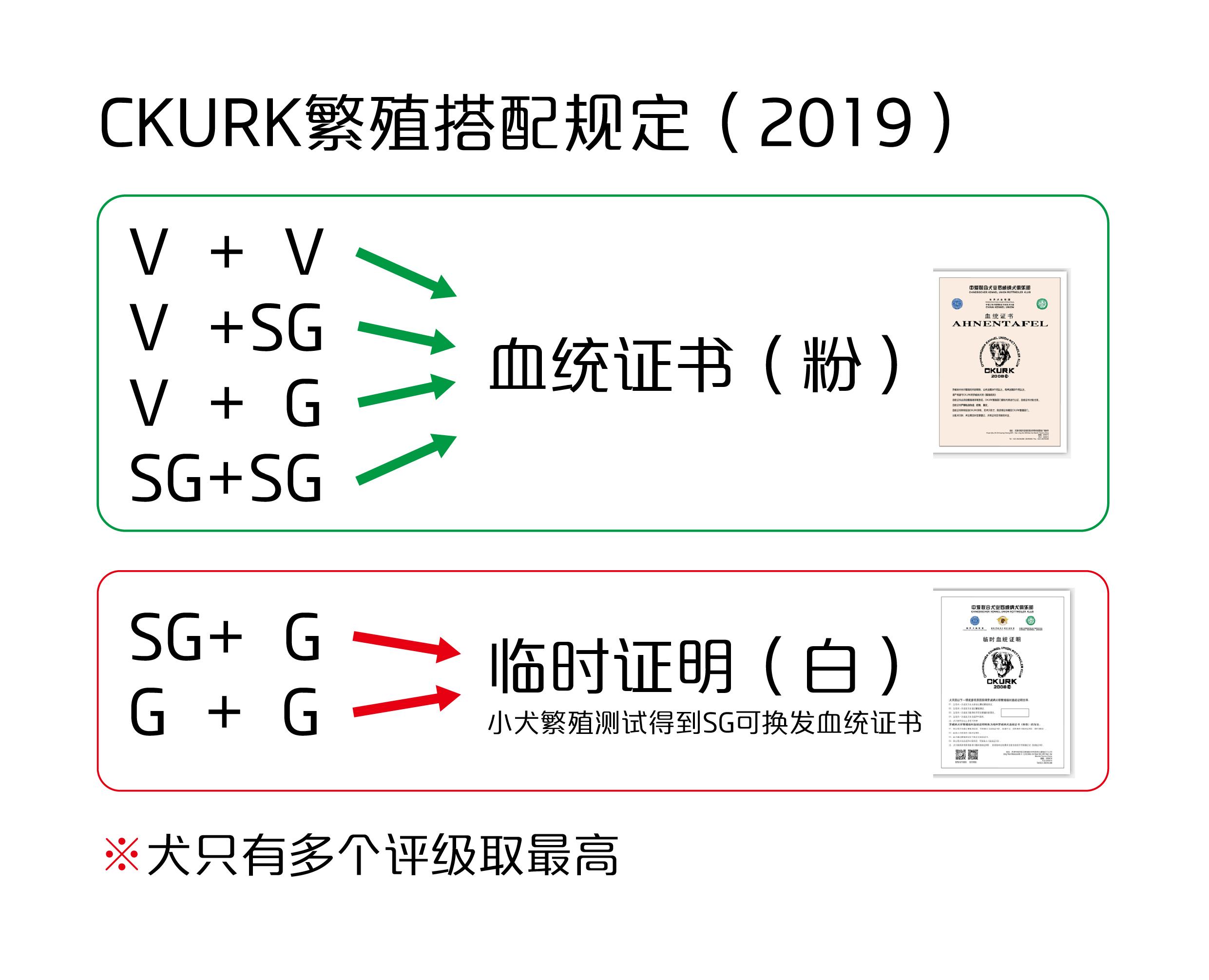 1张图看懂搭配规定2019_画板 1.jpg