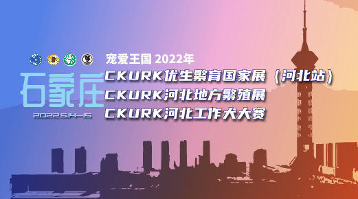 宠爱王國(guó)2022年CKURK优生繁育國(guó)家展（河北站）、河北地方繁殖展、 河北工作大赛报名通知