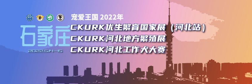 宠爱王國(guó)2022年CKURK优生繁育國(guó)家展（河北站）、河北地方繁殖展、 河北工作大赛报名通知